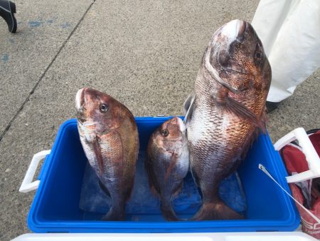 第二八坂丸 釣果