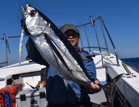 渡船屋たにぐち 釣果