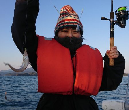 遊漁船　家入 釣果