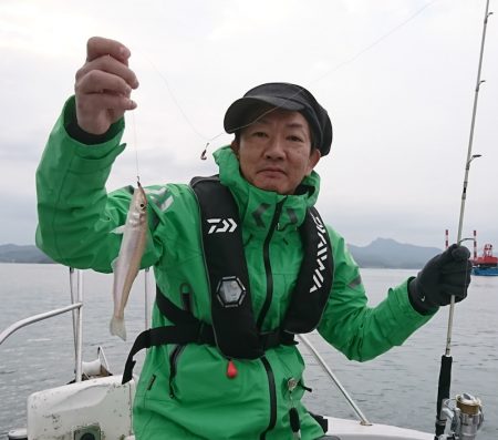 遊漁船 家入 釣果