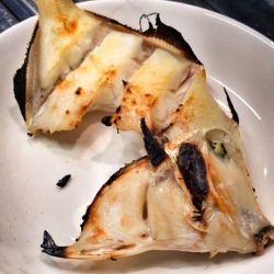 ブルースフィッシングサービス 釣果