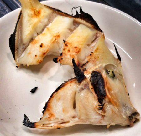 ブルースフィッシングサービス 釣果