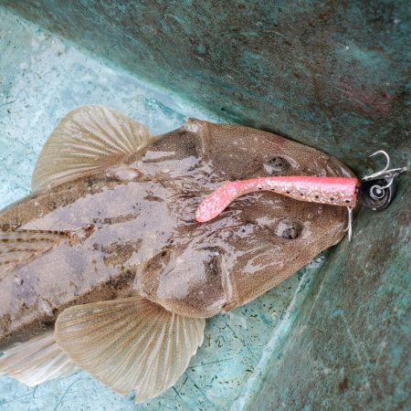 サンマリン 釣果