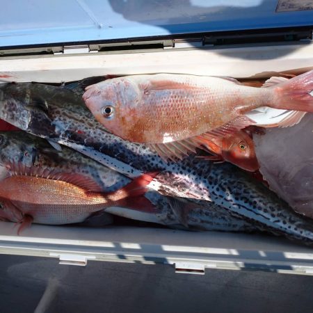 ありもと丸 釣果