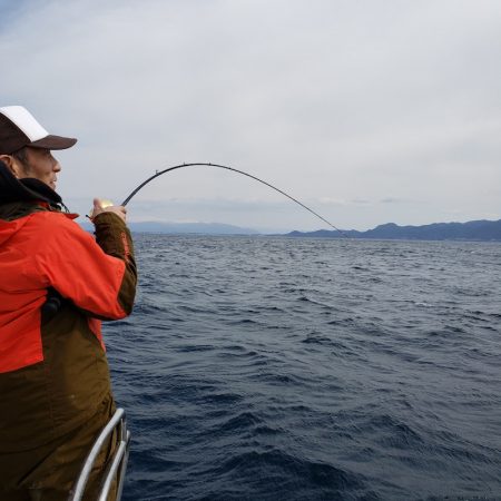 シーライオン 釣果