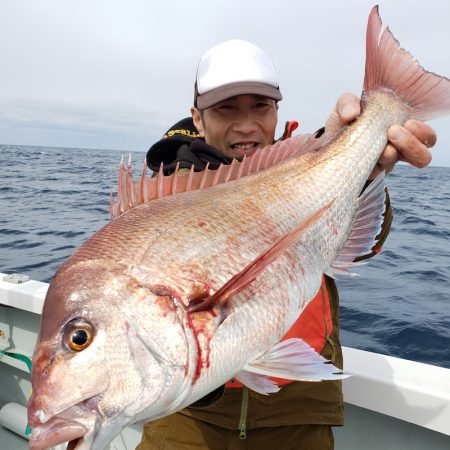 シーライオン 釣果