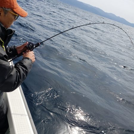 シーライオン 釣果