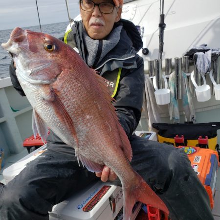 シーライオン 釣果