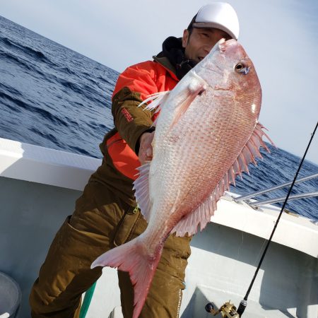 シーライオン 釣果