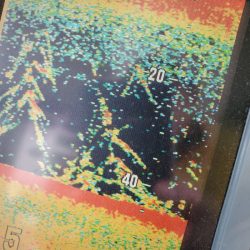 サンマリン 釣果