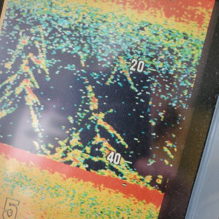 サンマリン 釣果