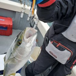 サンマリン 釣果