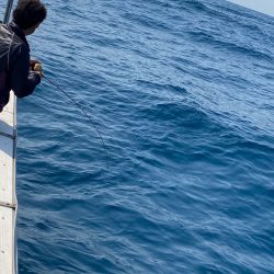 あみや渡船 JIGBOY 釣果