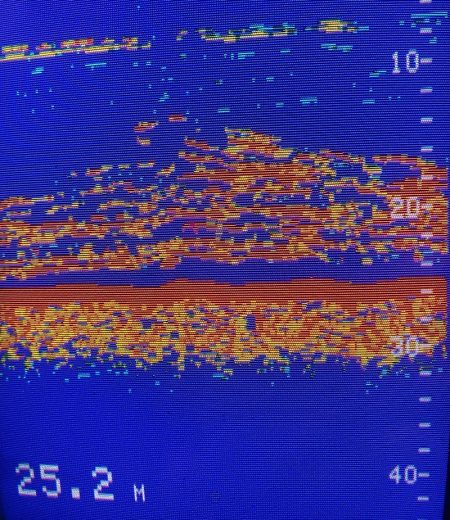 あみや渡船 JIGBOY 釣果