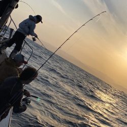 あみや渡船 JIGBOY 釣果