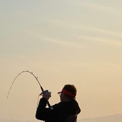 あみや渡船 JIGBOY 釣果