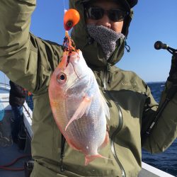 渡船屋たにぐち 釣果