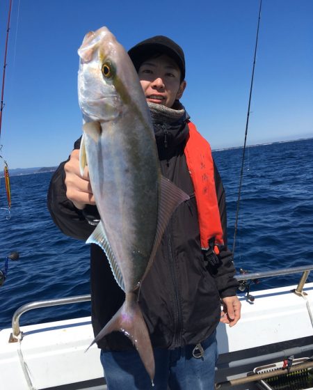 渡船屋たにぐち 釣果