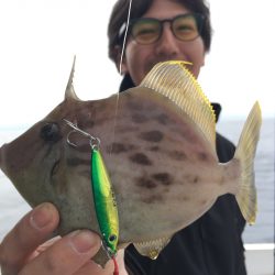 渡船屋たにぐち 釣果