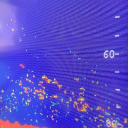 あみや渡船 JIGBOY 釣果