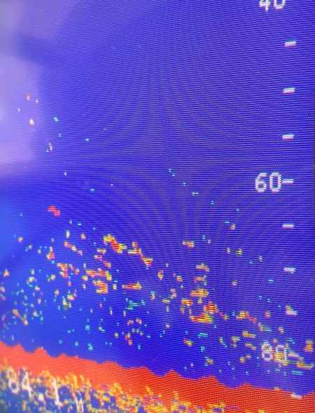 あみや渡船 JIGBOY 釣果