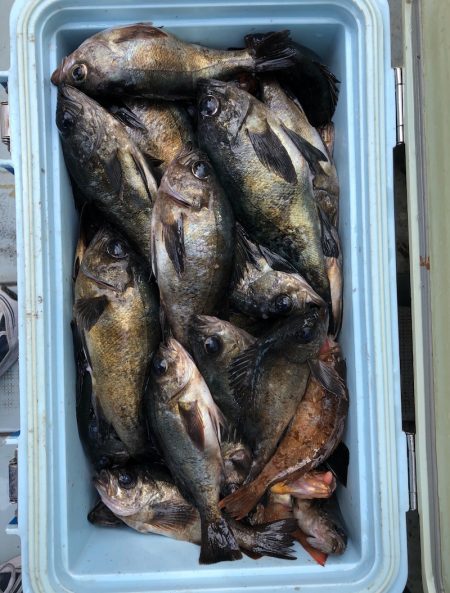 フィッシング キッタカ 釣果