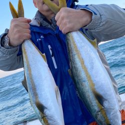 あみや渡船 JIGBOY 釣果