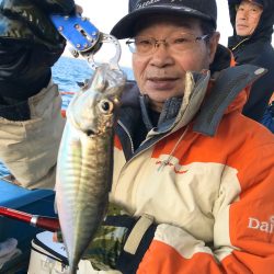 ヤザワ渡船 釣果