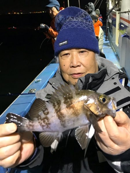 ヤザワ渡船 釣果