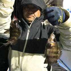 ヤザワ渡船 釣果