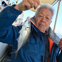 ヤザワ渡船 釣果