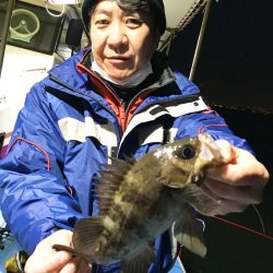 ヤザワ渡船 釣果