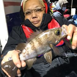 ヤザワ渡船 釣果