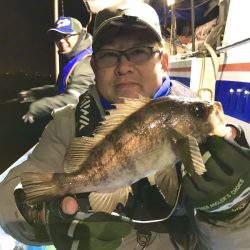 ヤザワ渡船 釣果