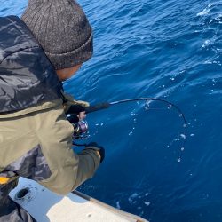 あみや渡船 JIGBOY 釣果