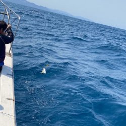 あみや渡船 JIGBOY 釣果