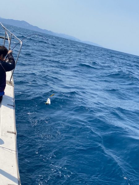 あみや渡船 JIGBOY 釣果