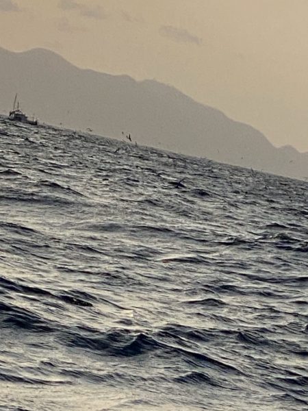 あみや渡船 JIGBOY 釣果