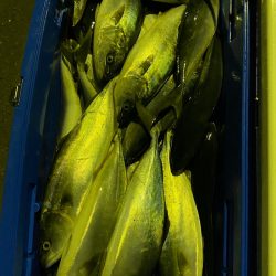 あみや渡船 JIGBOY 釣果