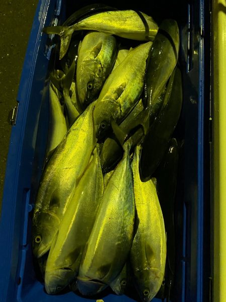 あみや渡船 JIGBOY 釣果