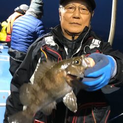 ヤザワ渡船 釣果