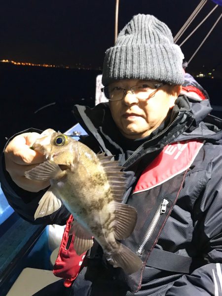 ヤザワ渡船 釣果