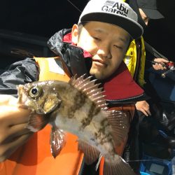 ヤザワ渡船 釣果