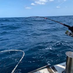 あみや渡船 JIGBOY 釣果