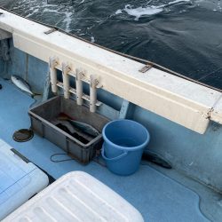 あみや渡船 JIGBOY 釣果