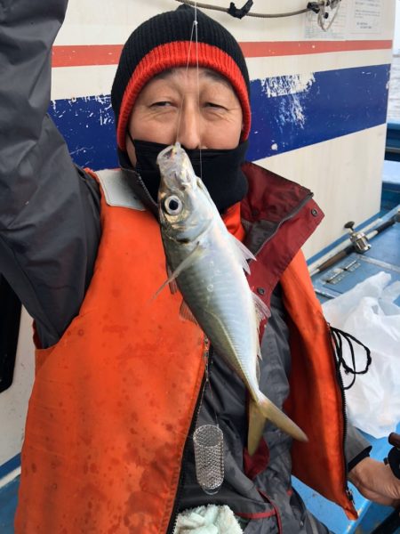 ヤザワ渡船 釣果