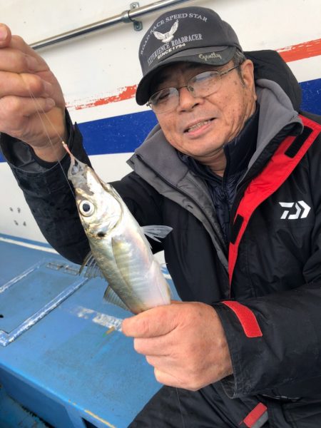 ヤザワ渡船 釣果