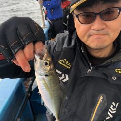 ヤザワ渡船 釣果