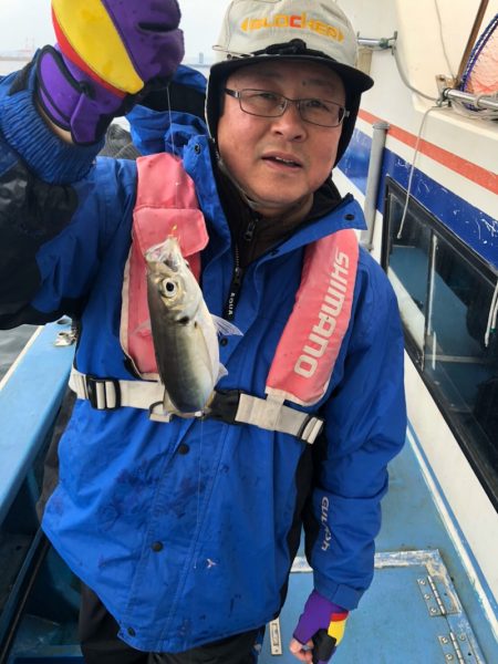 ヤザワ渡船 釣果