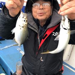 ヤザワ渡船 釣果